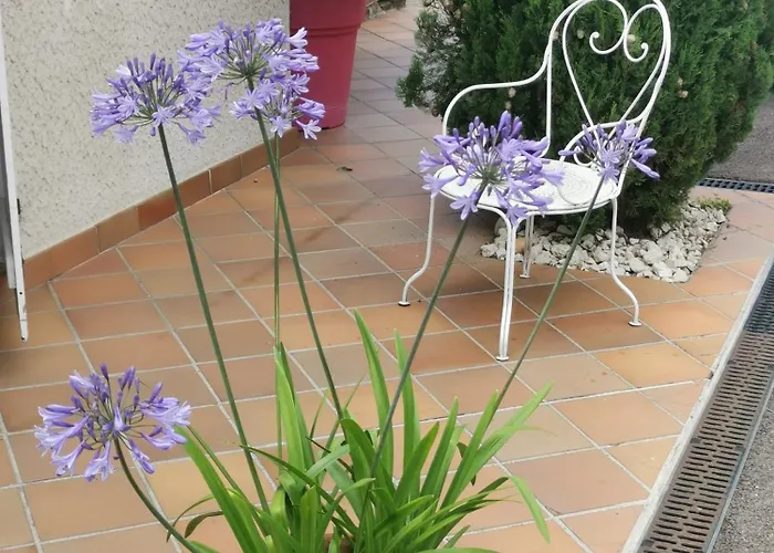 La Moderne * Saint-Prim (Isere)