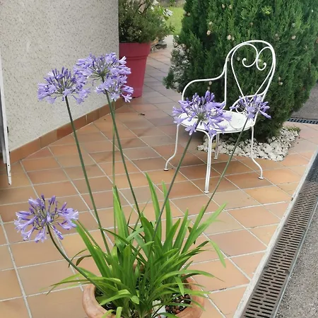 Les Cyprés * Saint-Prim (Isere)
